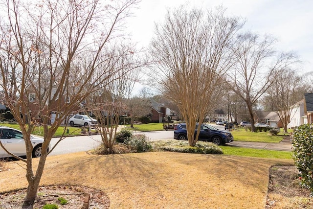 view of yard with a residential view