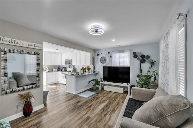 living room featuring wood finished floors and baseboards