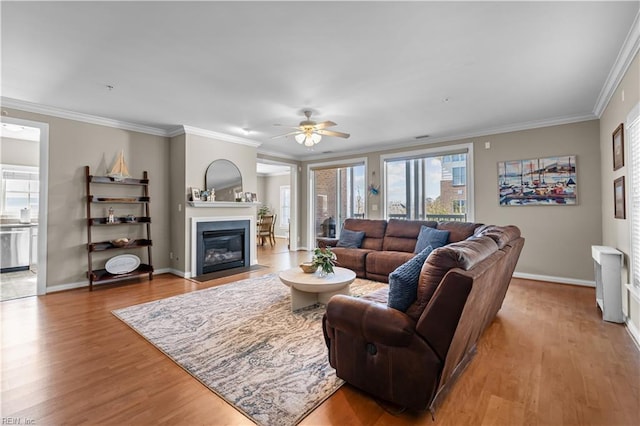 living area with a fireplace with flush hearth, a wealth of natural light, crown molding, and wood finished floors