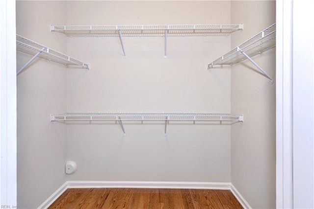 walk in closet featuring wood finished floors