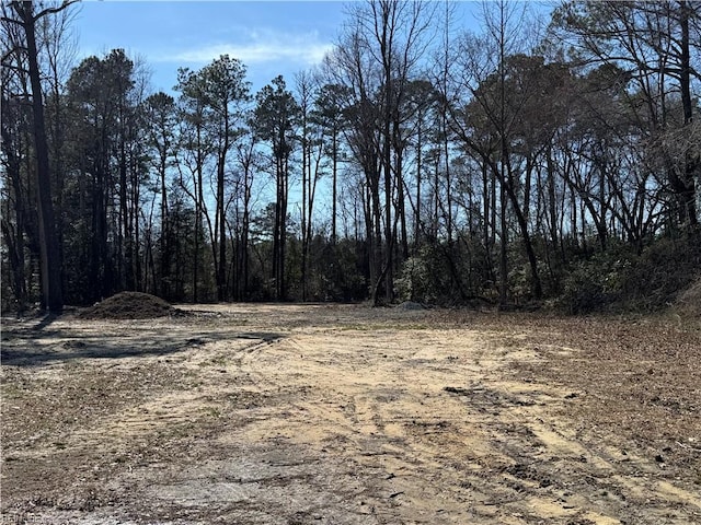 view of local wilderness
