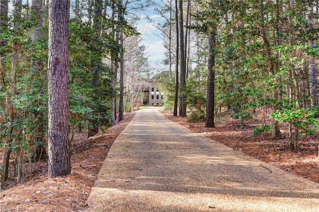 view of street with driveway