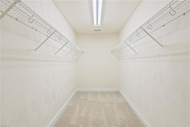 spacious closet with carpet flooring