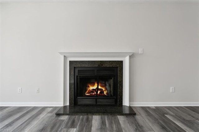 details featuring a lit fireplace, baseboards, and wood finished floors