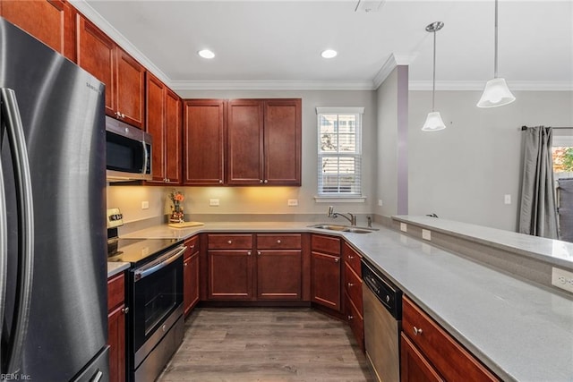 kitchen with stainless steel appliances, wood finished floors, a sink, and crown molding