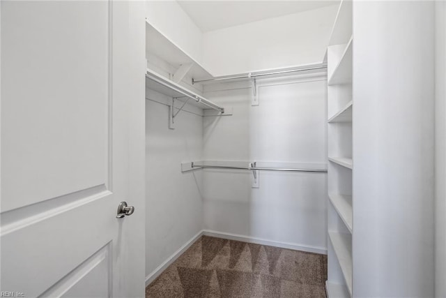 spacious closet featuring carpet floors