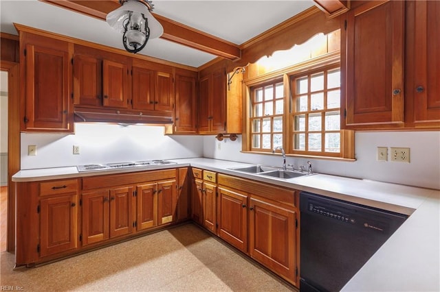 kitchen featuring black dishwasher, white cooktop, light countertops, under cabinet range hood, and a sink