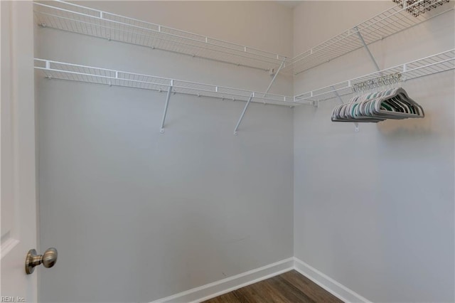 walk in closet featuring dark wood-type flooring