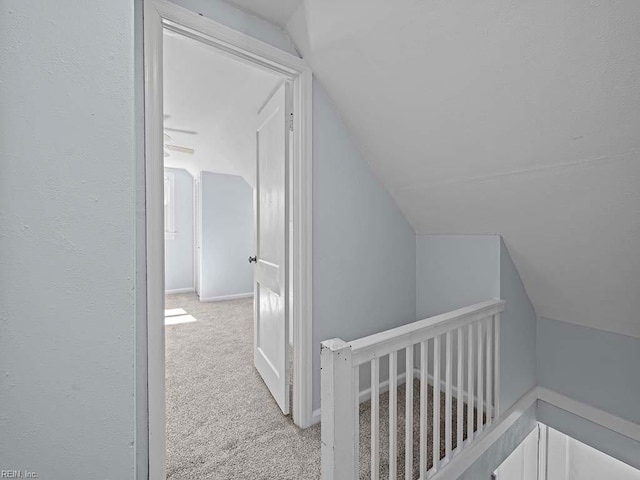 hallway with lofted ceiling, carpet floors, and a textured wall