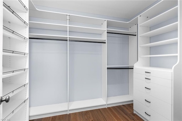 spacious closet with dark wood-type flooring