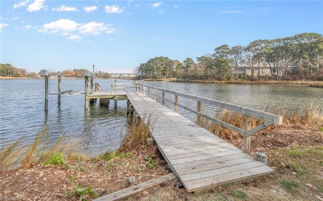 dock area with a water view