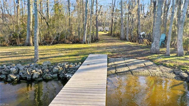 dock area with a lawn