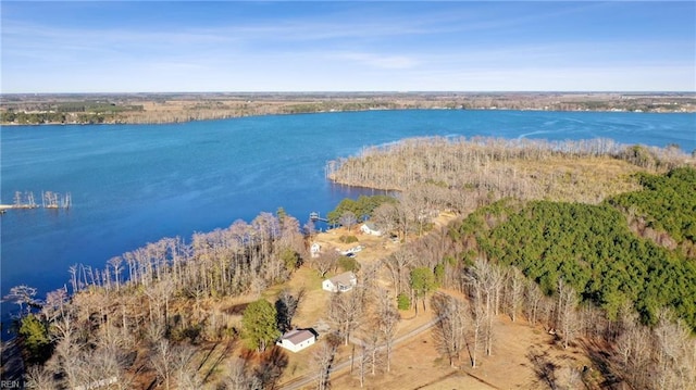 birds eye view of property with a water view and a forest view