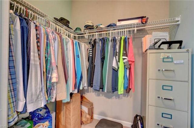 view of spacious closet