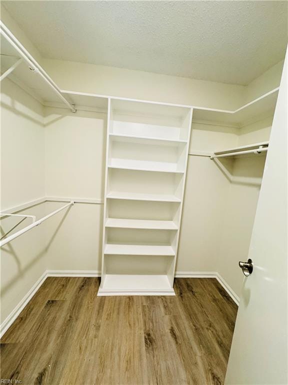 walk in closet featuring wood finished floors