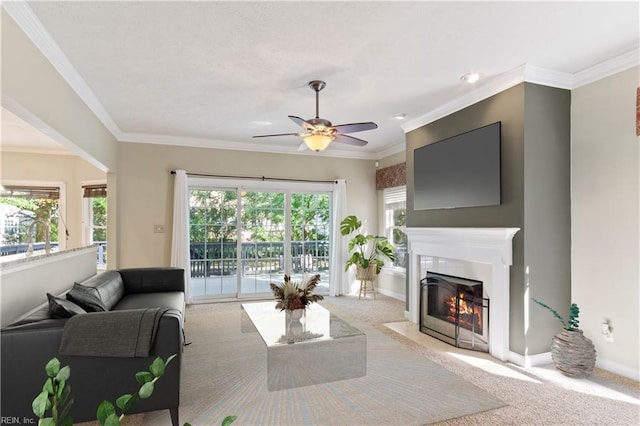 carpeted living room featuring a fireplace with flush hearth, ornamental molding, ceiling fan, and baseboards