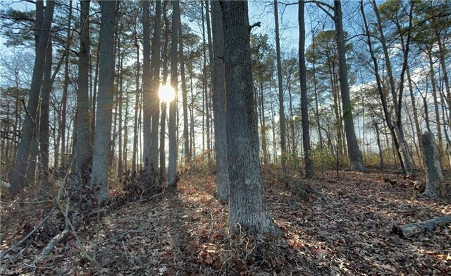 323 Vista Point Dr, Hampton, VA 23666