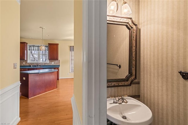 bathroom with tasteful backsplash, a wainscoted wall, a sink, and wood finished floors