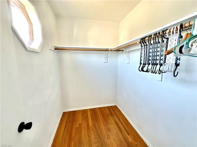 walk in closet featuring wood finished floors