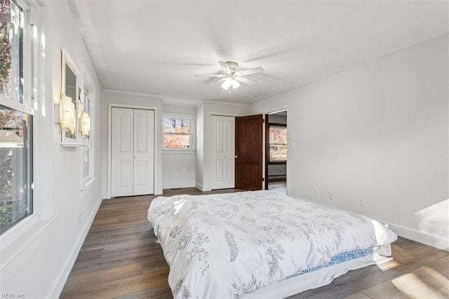 bedroom with two closets, baseboards, and wood finished floors