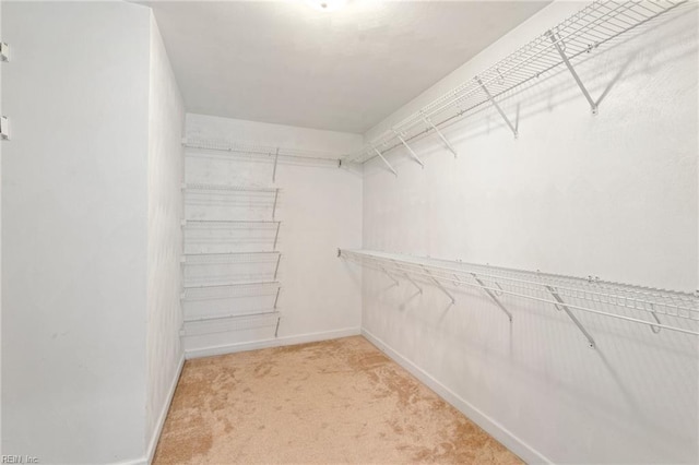 spacious closet featuring light carpet