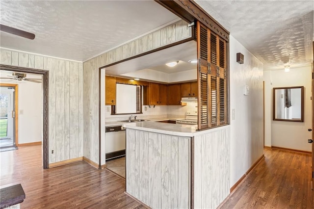 kitchen with white range with electric stovetop, dishwasher, wood finished floors, and a sink