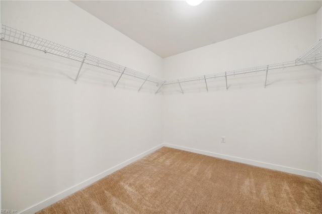 walk in closet with light carpet