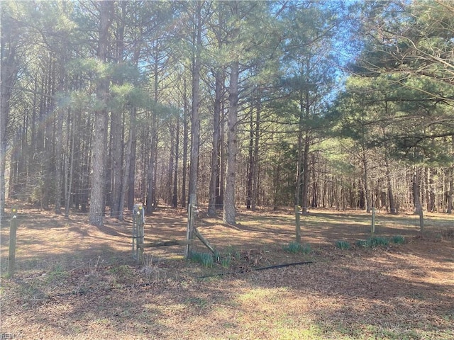 view of local wilderness with a view of trees