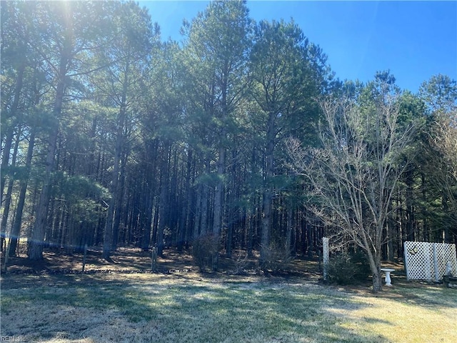 view of yard featuring a wooded view