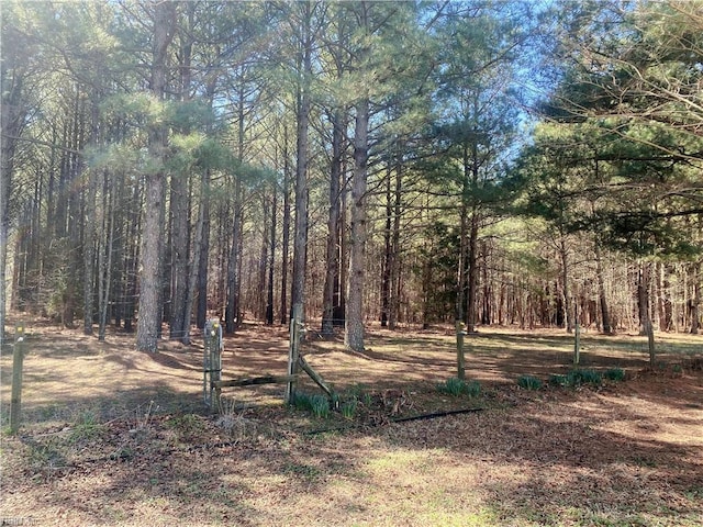 view of local wilderness with a forest view