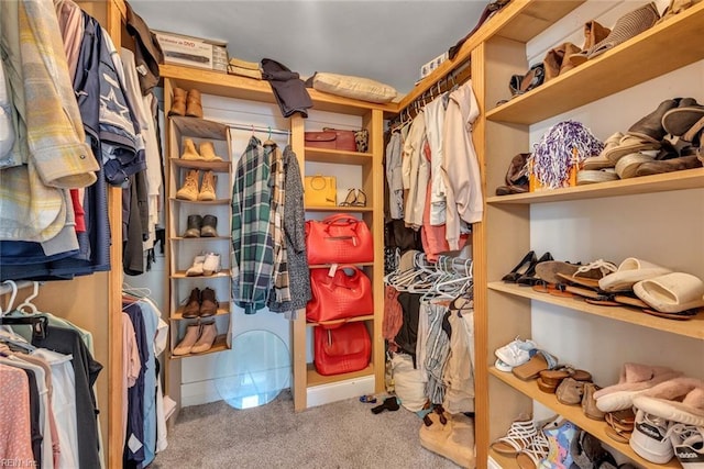 spacious closet with carpet floors