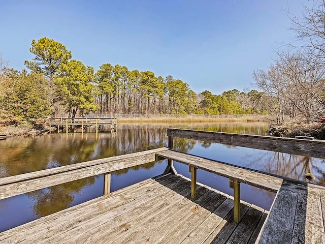 dock area with a water view