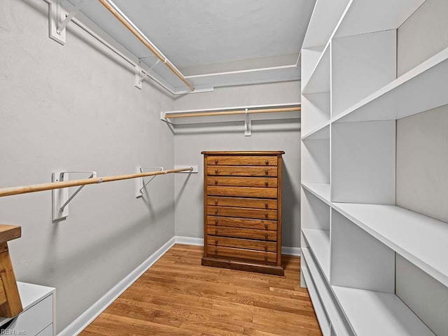 walk in closet featuring wood finished floors