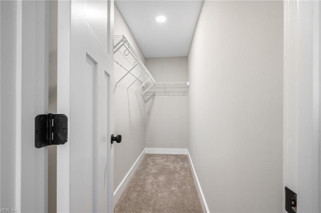 walk in closet with carpet