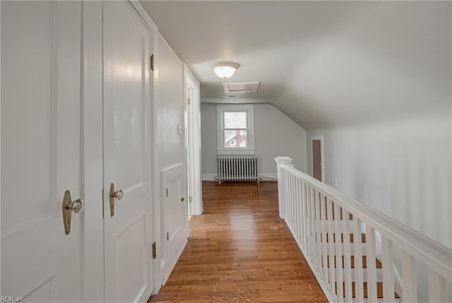 hallway featuring lofted ceiling, light wood-style flooring, and radiator