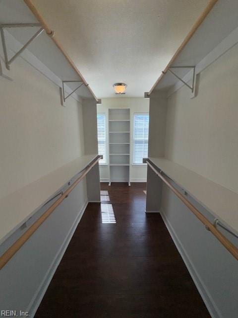 spacious closet featuring dark wood-style floors