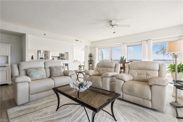 living area with light wood finished floors, a textured ceiling, and a wealth of natural light