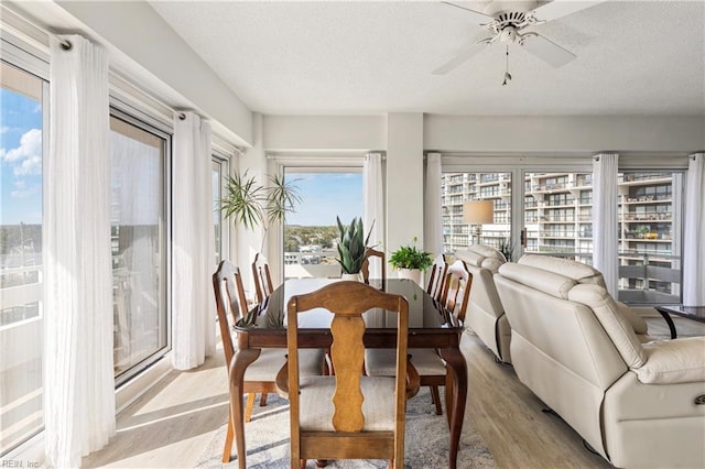 sunroom with ceiling fan