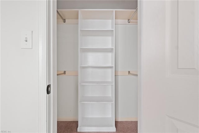 walk in closet featuring carpet floors