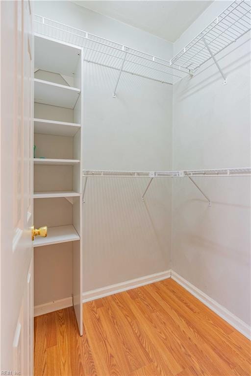 walk in closet featuring wood finished floors