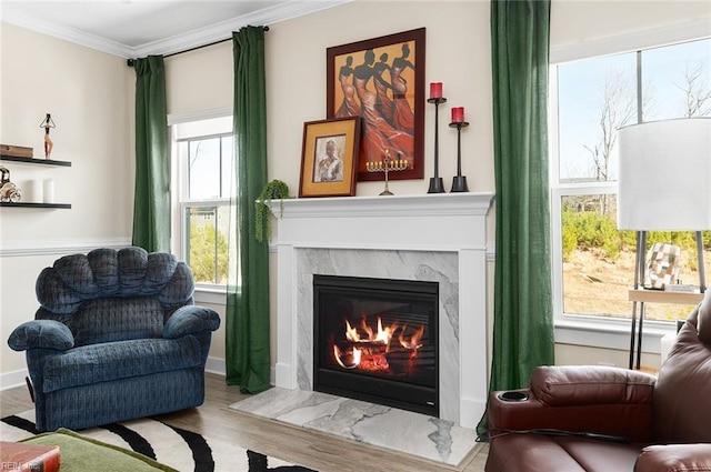 sitting room with crown molding, wood finished floors, baseboards, and a premium fireplace