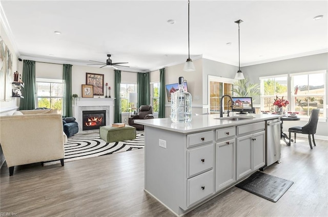 kitchen featuring plenty of natural light, dishwasher, a glass covered fireplace, and a sink