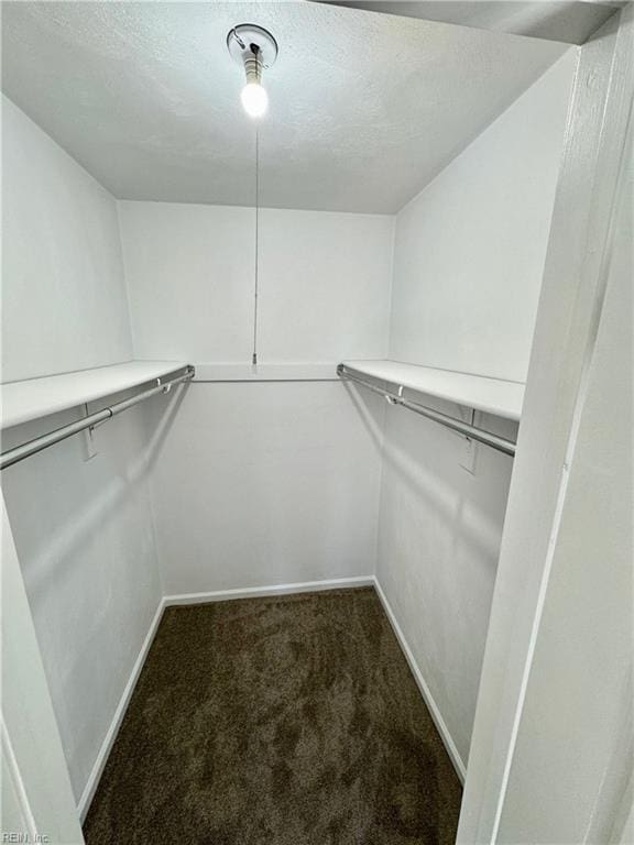 spacious closet with carpet flooring