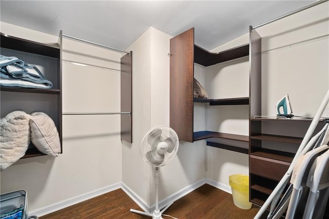 walk in closet featuring wood finished floors