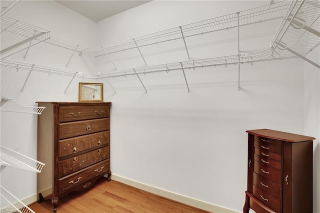 spacious closet with light wood finished floors