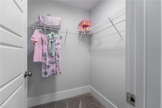 walk in closet with carpet floors