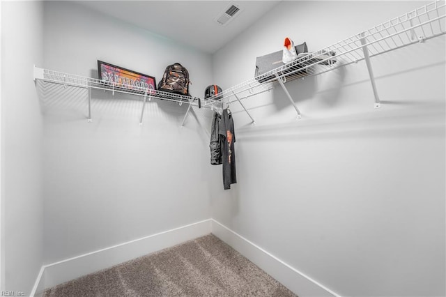 walk in closet with visible vents and carpet