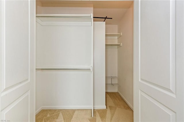 view of closet