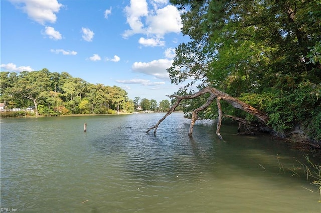 property view of water