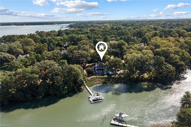 bird's eye view featuring a water view and a wooded view